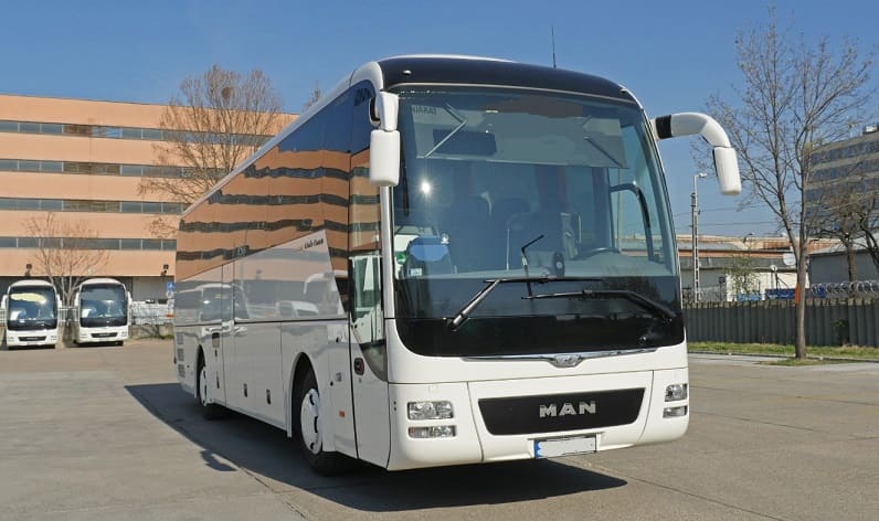Saxony-Anhalt: Buses operator in Bitterfeld-Wolfen in Bitterfeld-Wolfen and Germany