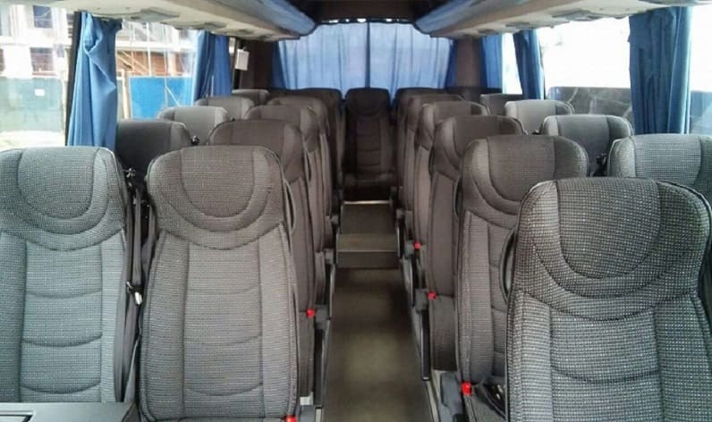 Germany: Coach hire in Saxony in Saxony and Meißen