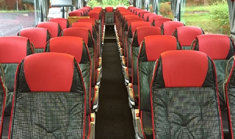 Germany: Coaches rent in Saxony in Saxony and Freiberg